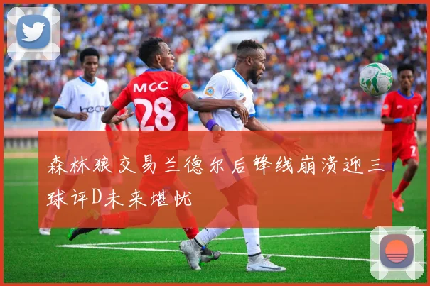 森林狼交易兰德尔后锋线崩溃迎三球评D未来堪忧